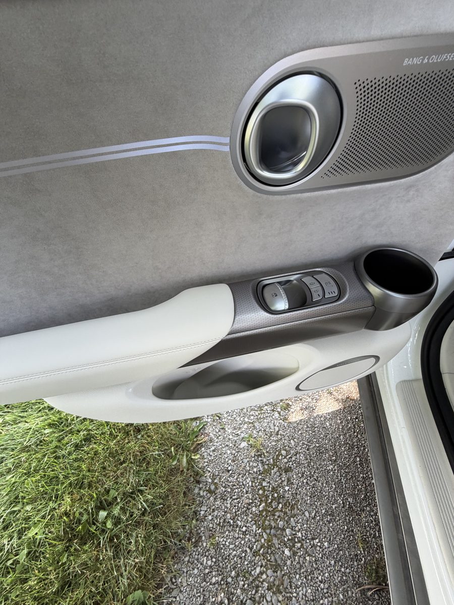 Genesis door panel and speaker grille cleaned into every crevice